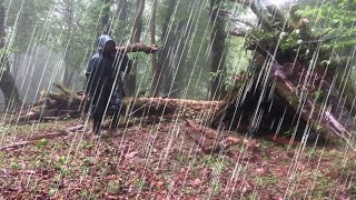 2 DAYS CAMPING IN HEAVY RAIN:  I BUILD A COZY SHELTER UNDER THE TREE- ASMR