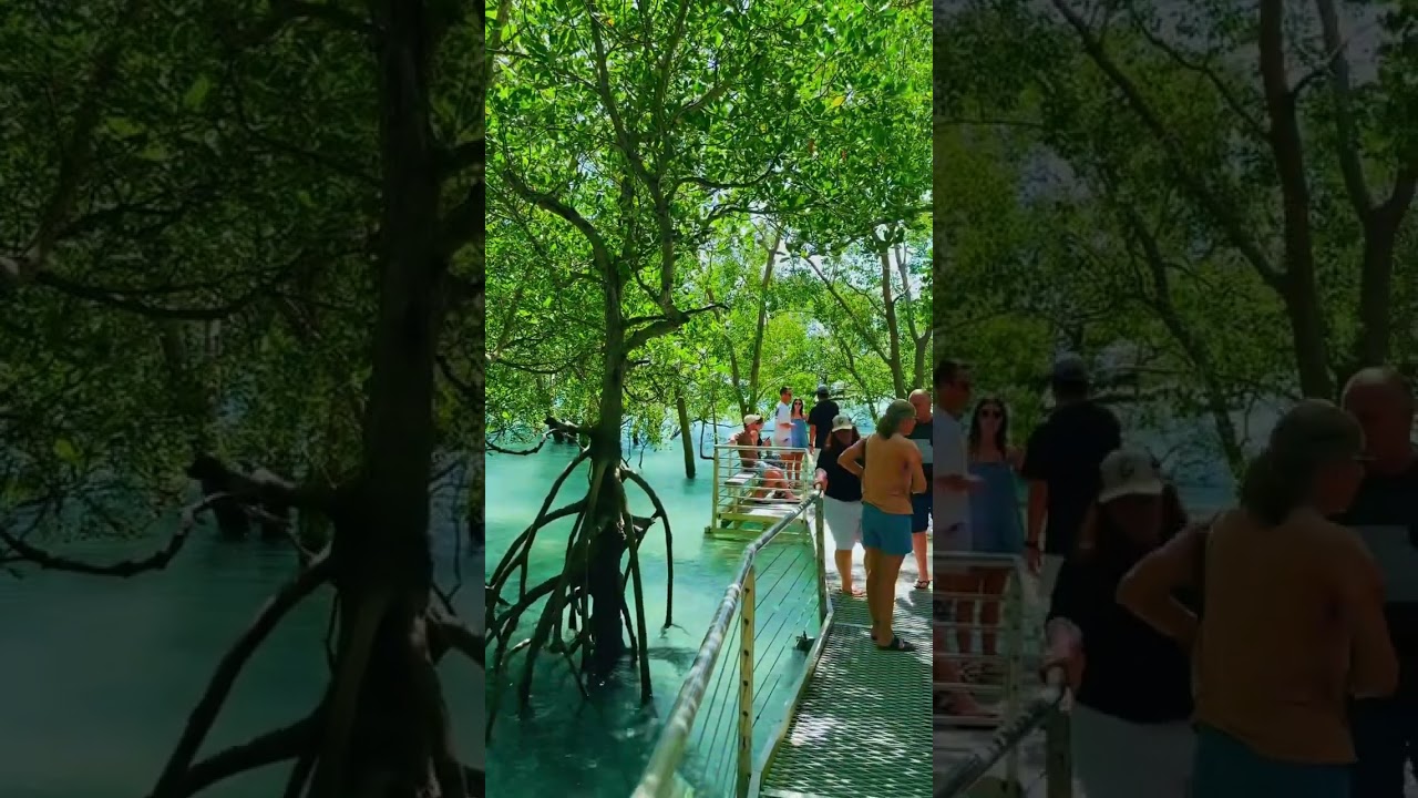 YouTube Short thumbnail