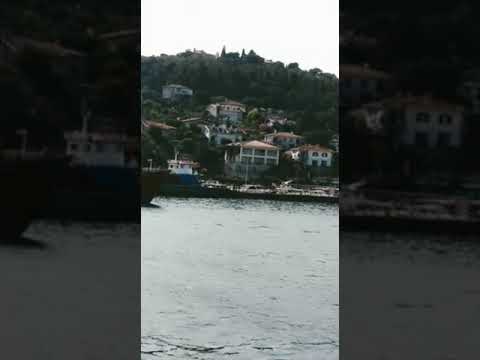 #شاطئ  جزيره الأميرات (بيوك اضا).. ما شاء الله.. طيور النورس.. 2021