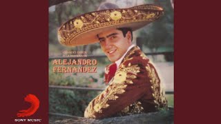 Alejandro Fernández - Noche de Ronda (Cover Audio)