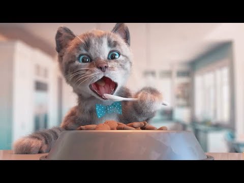Play Fun Pet Kitten Care - Little Kitten Preschool - Fun Educational Learning Kids Games