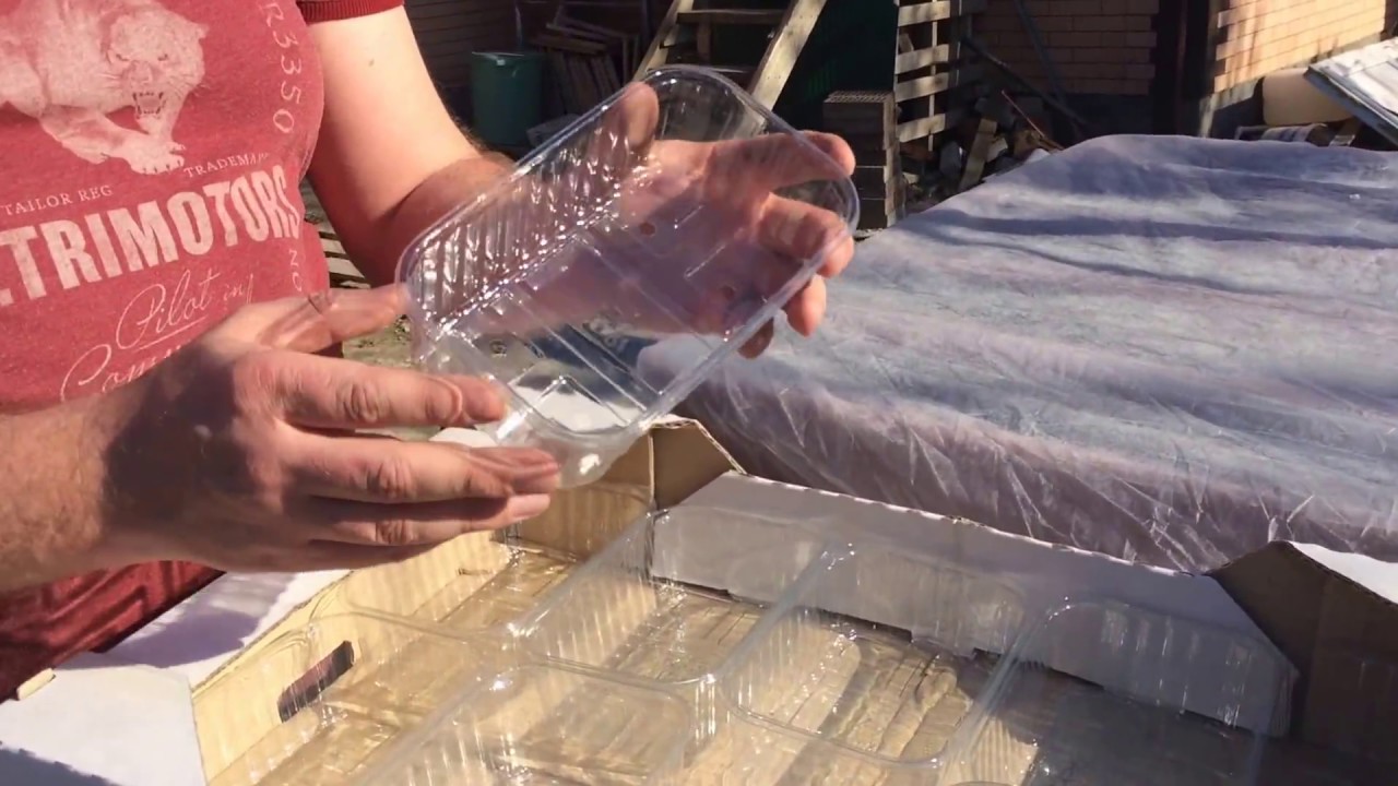 Ящик для ягод