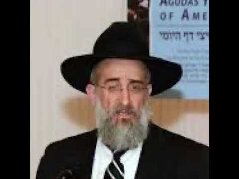 Rav yisroel reisman: why the satmar rebbe held so much of rabbi moshe feinstein