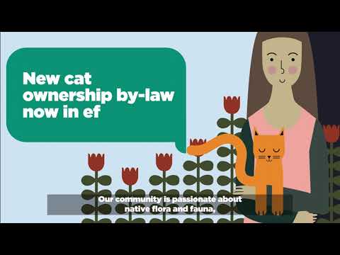 Home is where your cat lives - By-law now in effect