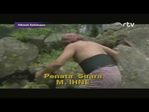 HIKMAH KEHIDUPAN - Bukit Bunga Matahari