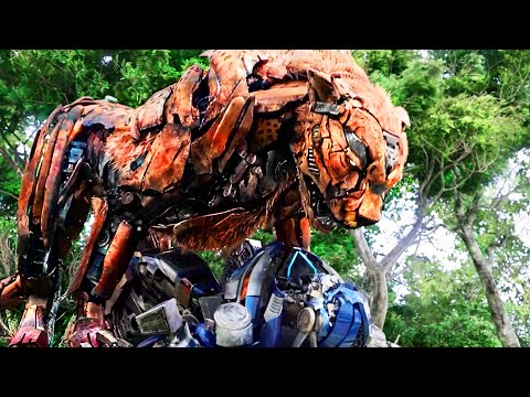 The Maximals Assemble 🔥| Transformers: Rise of the Beasts | CLIP