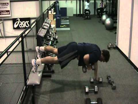 Heavy Renegade Row - Core - Wold Fitness
