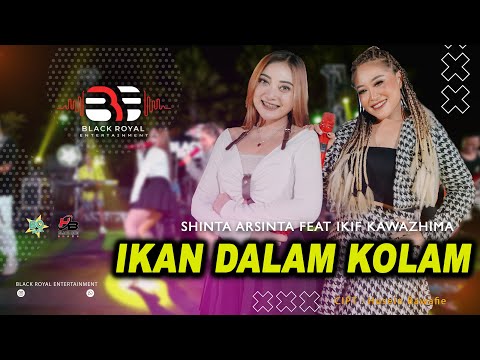 SHINTA ARSINTA FT. IKIF KAWAZHIMA - IKAN DALAM KOLAM (Official Live Video Black Royal Entertainment)