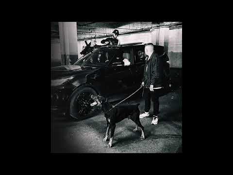 TARAS, Andery Toronto - Cталь