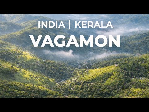 Vagamon Vibes | Kerala | India ✨ | Hills, Tea Gardens, Pine Forest Views & Small Town Charm 