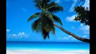 Raul Rincon - Indigenous People (Vibe Mix)