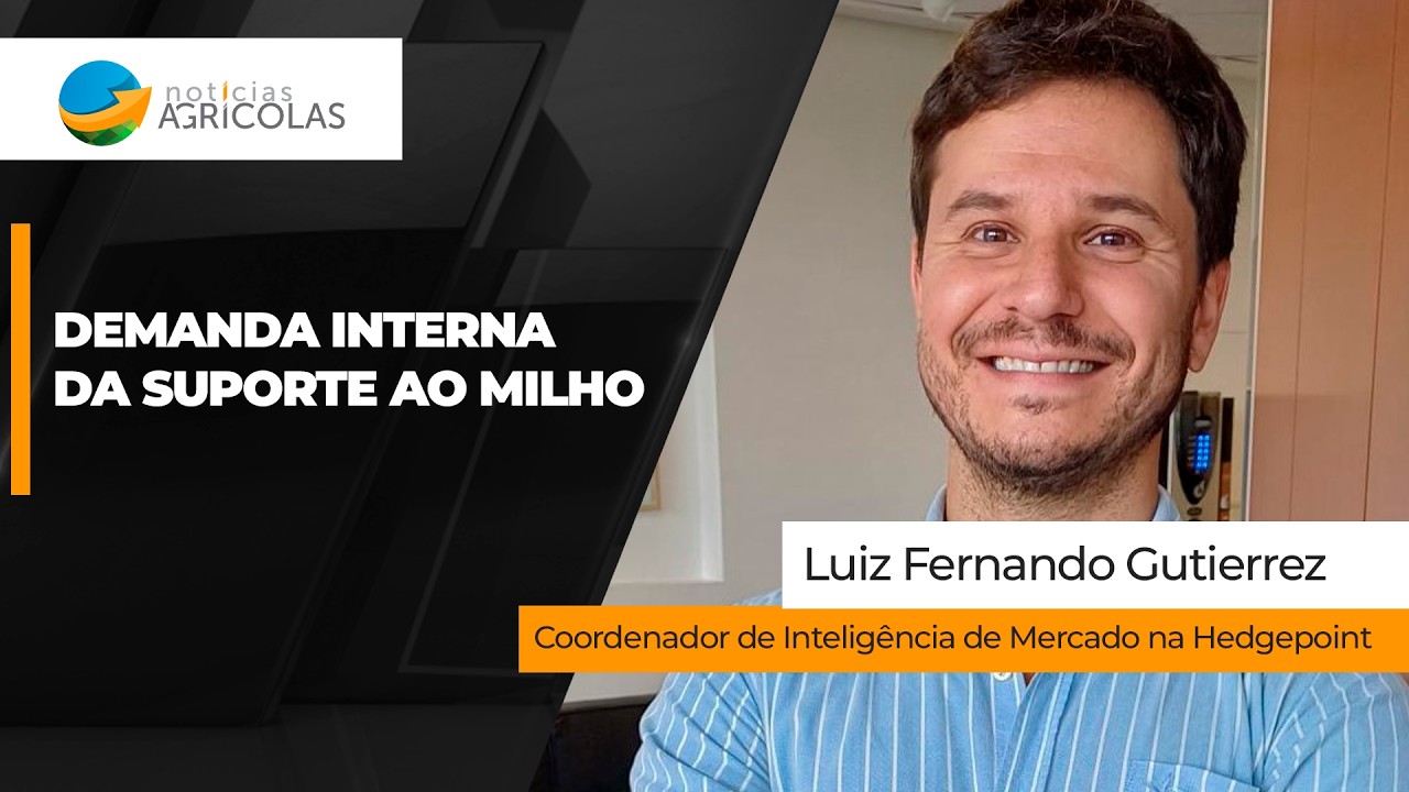 Aumento da demanda doméstica dá suporte ao milho no Brasil, mas exportações lentas liga o alerta