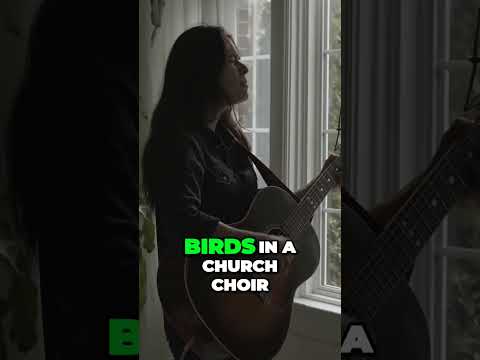 Where is the HEART of my Country - Caitlin Canty | Tone Tree Music Live Sessions