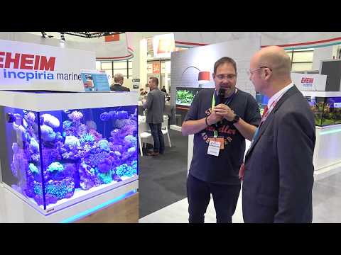 Watch Video on YouTube