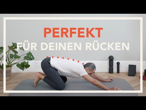 Bandscheibenvorfall  🤸‍♂️ 10 Gesundheitsübungen für deinen Rücken (Übungen zum Mitmachen)