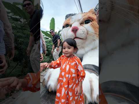 BUNDA ANTERIN LEXIE KETEMU KUCING RAKSASA😱⁉️#dienafitri #trending #shorts #kucingraksasa #kucinglucu