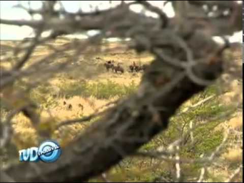 Missão Chile Tudo É Possível 29/04/2012