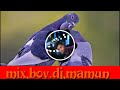 5g Bangla And Hindi Hard Mix Dj Song Mix Boy Dj Mamun