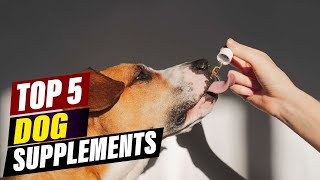 BEST Dog Supplements: Boost Your Dog's Health & Longevity!