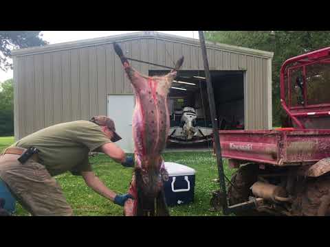 Best Way to Skin a Pig Second Edition