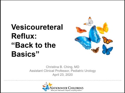 4.23.2020 PedsUroFLO Lecture - Vesicoureteral Reflux (VUR): "Back to the Basics"