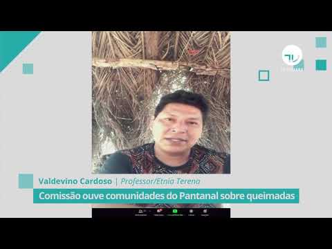 Comissão ouve comunidades do Pantanal sobre queimadas - 01/10/20