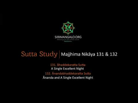 MN 131 & 132 (A Single Excellent Night) and Q&A