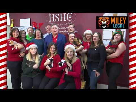 Miley Legal Christmas -Adopt a Pet - 2022
