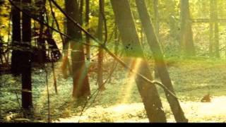 Childish Gambino - L.E.S