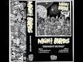 Night Birds Bad Biology