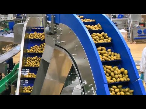 Saclà, piano da 21 milioni per ampliare lo stabilimento di Asti