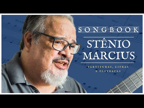 Passageiro Acidental - STENIU MARCIUS