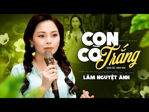 Con Cò Trắng - Lâm Nguyệt Ánh | Bài Hát Dân Ca Trữ Tình Miền Tây Nghe Xót Xa