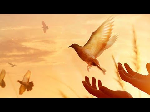 6. አንጄታስ - እንዳሻው ዱንዳ