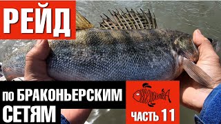 Нарушение правила ведения рыболовного хозяйства и рыболовства