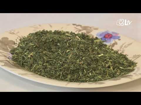 Zlatni savjeti – Kopriva