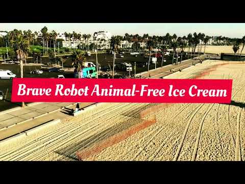 Brave Robot Animal‐Free Ice Cream #braverobot #Braverobotanimalfreeicecream