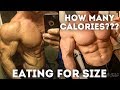 Bulking Tips To Get Huge | Full Day Of Eating + Macros