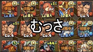 【パズドラバグ実況】なんだこのむさぐるしい感じは？
