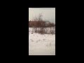 Bloodbuzz Ohio (Cover) 