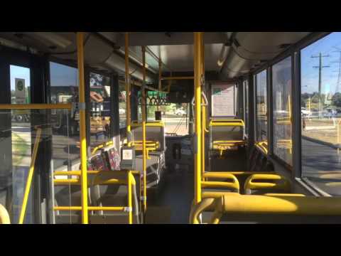 Transperth TP1903 - Mercedes-Benz OC500LE CNG (ZF)