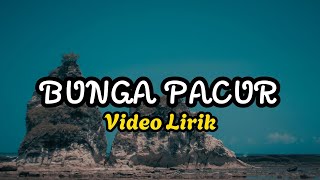 Download lagu Marsada Star - Bunga Pancur (Lirik Dan Terjemahan) mp3