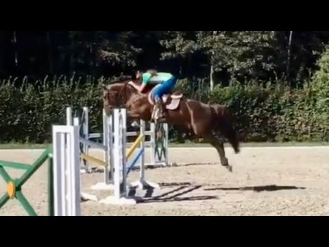 Luciana Diniz - The Dynamic Butterfly Challenge