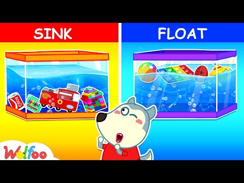 Sink or Float with Wolfoo! - Cool Science Experiments for Kids To Do at Home | Wolfoo Family