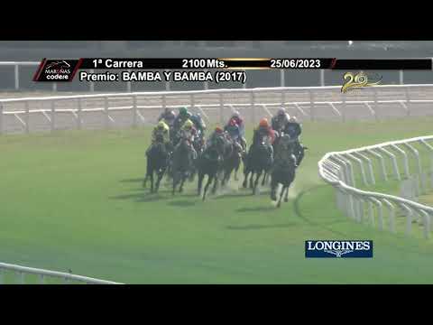 230625 c01 GUESS WHO