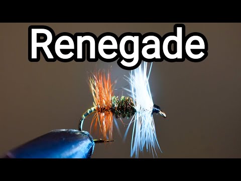Fly tying the Renegade 