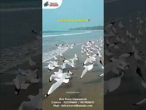 Explore konkan with us ❤️🌴