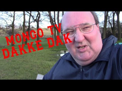 mongo tv dak