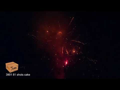 3901  Vuurwerk013 Event 81