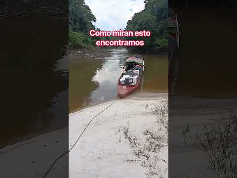 ¡Playas Blancas En Pleno Vichada! 😍 Parece El Mar Pero Es El Río Segua#riosegua#playas guerima